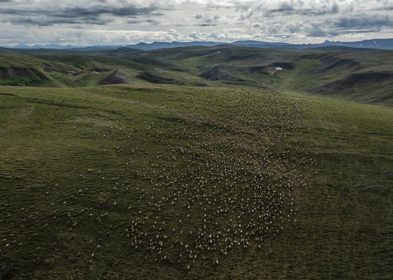 21c38e1b-fa85-4243-a99d-f60464728ef6