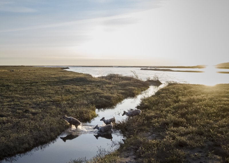 b5bd1da6-a302-4143-b52b-dc693f5560d1