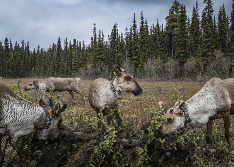 c3bca2cb-9699-4972-88fe-d7970a80d010